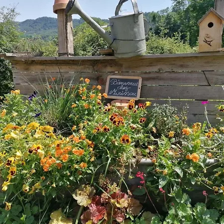 Maison De Caractere Renovee Avec Jardin Clos, Cheminee, Et Animaux Acceptes A - Fr-1-742-322