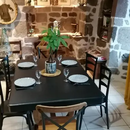 Maison De Caractere Renovee Avec Jardin Clos, Cheminee, Et Animaux Acceptes A - Fr-1-742-322 * Anglards-de-Salers