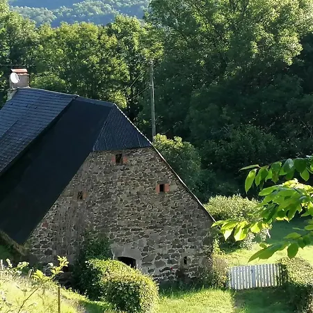 Maison De Caractere Renovee Avec Jardin Clos, Cheminee, Et Animaux Acceptes A - Fr-1-742-322 * Anglards-de-Salers