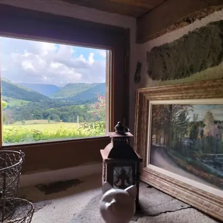 Maison De Caractere Renovee Avec Jardin Clos, Cheminee, Et Animaux Acceptes A - Fr-1-742-322 *