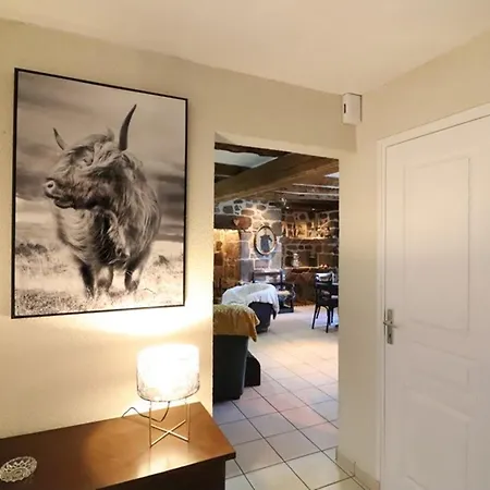 Tatil Evi Maison De Caractere Renovee Avec Jardin Clos, Cheminee, Et Animaux Acceptes A - Fr-1-742-322 *